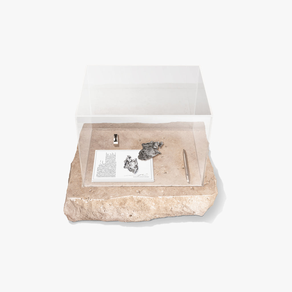 Sikhote-Alin meteorite microcosm