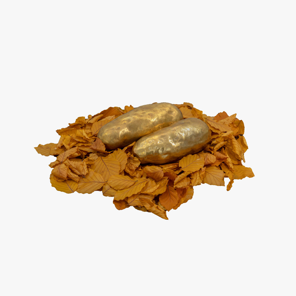 Metaflor-Metaflora 2