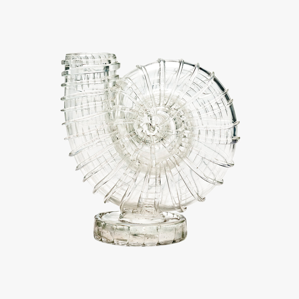 Nautilus