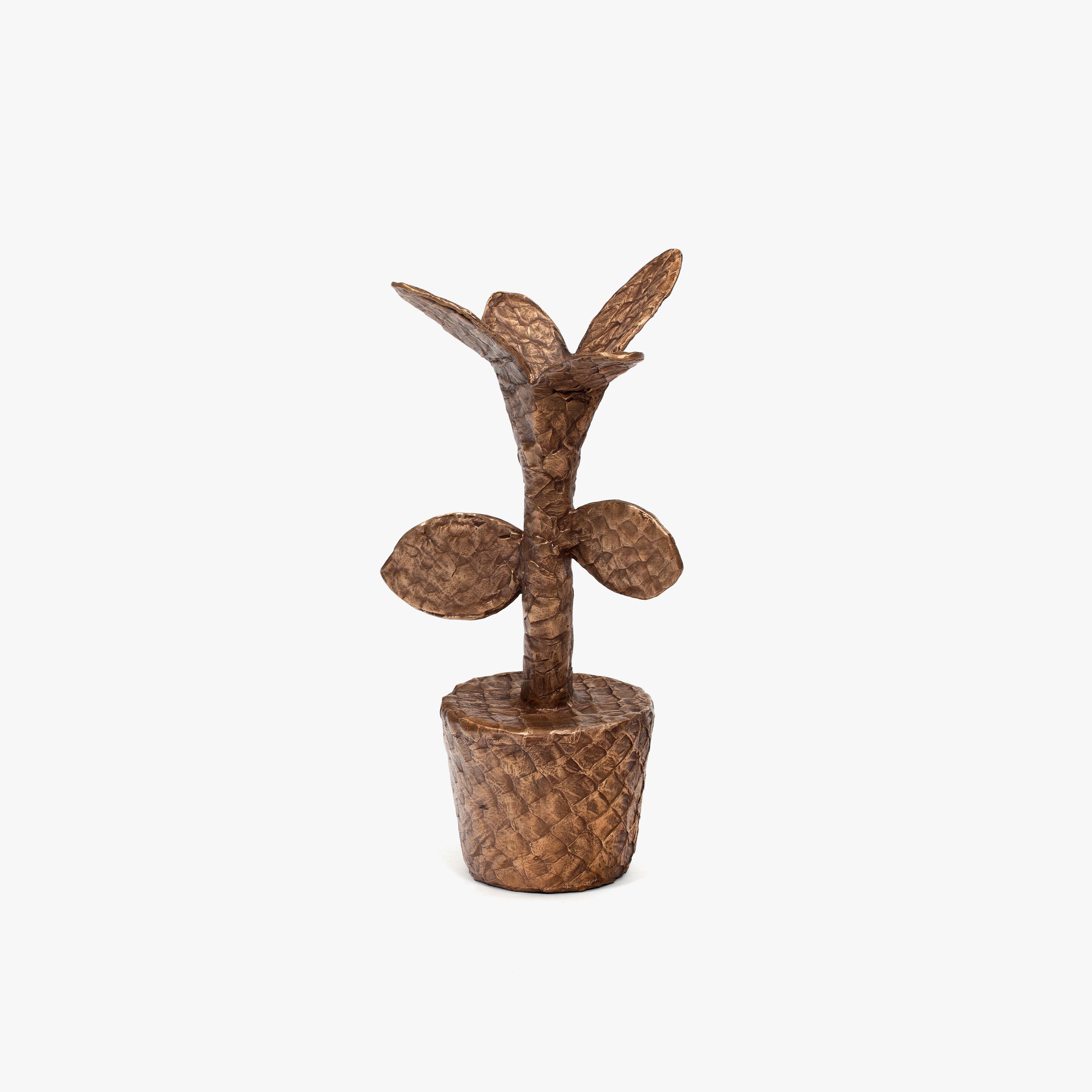 Pirarucu Flower Vase